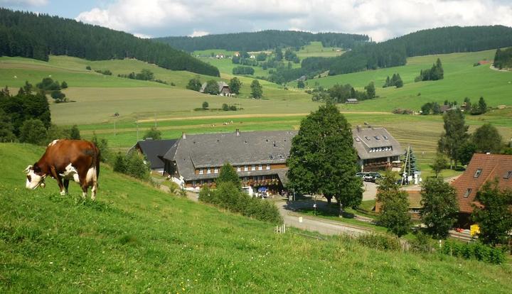 Zum Lowen Unteres Wirtshaus